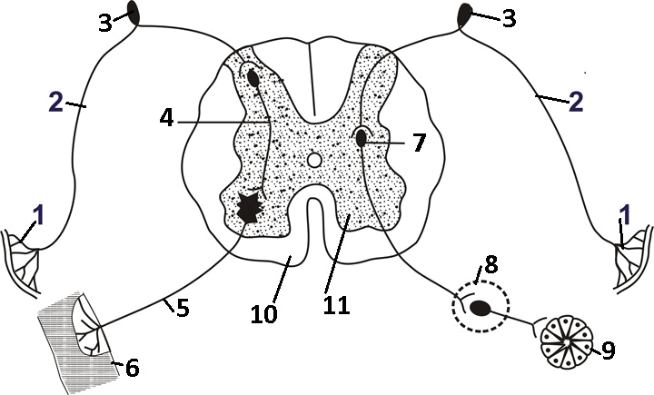 0500ochn-43b9-720x435.png
