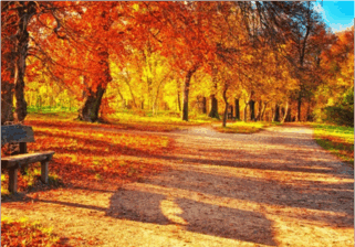 0500ogw6-a29f-321x224.png
