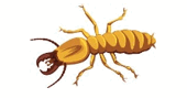 0500oh4s-22c9-224x117.png