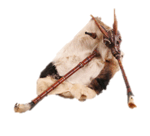 0500oheq-9764-150x136.png