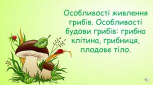 Особливості живлення грибів. Особливості будови грибів: грибна клітина, грибниця, плодове тіло.