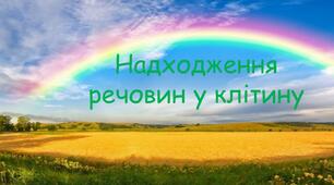 Презентація на тему: "Надходження речовин у клітину"