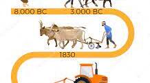 The History of Agriculture