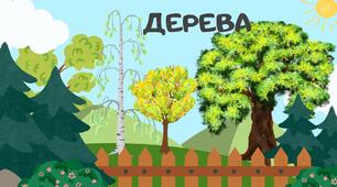 Презентація "Дерева" (розвиток мовлення)