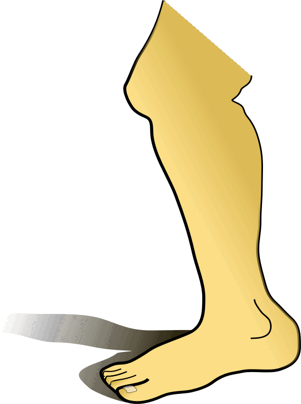 0500ommv-9e66-594x798.png