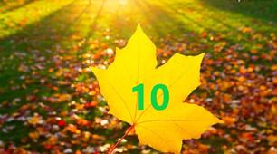 Олімпіада з математики. 10 клас