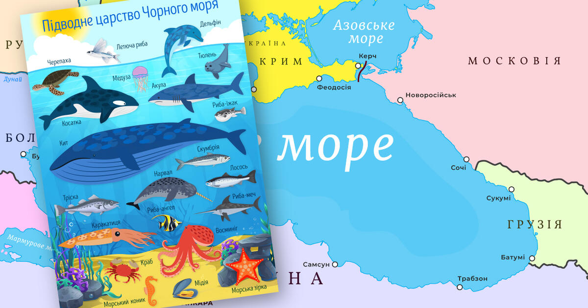 Чорне море. Мапа Чорного моря. Жителі Чорного моря | Інші методичні ...