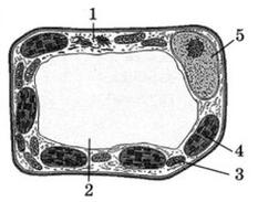 0500os1o-7bbf-233x183.jpg