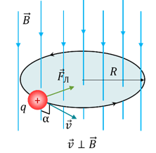 0500osn7-d20a-222x218.png