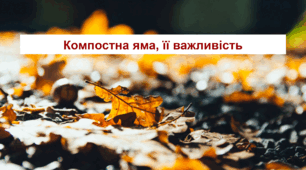Компостна яма, її важливість