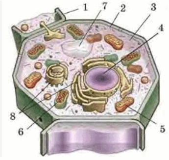 0500ox9b-464a-345x326.png