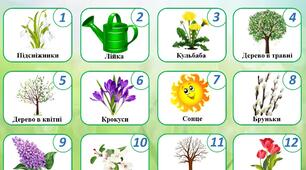 Коректурна таблиця (молодший дошкільний вік) РОСЛИНИ НАВЕСНІ