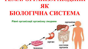 Контрольна робота 8 клас: " Організм людини як біологічна система","Обмін речовин та перетворення енергії"