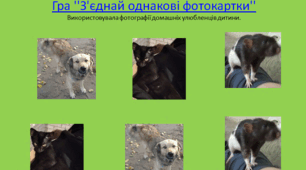 Онлайн-гра ‘’Знайди  однакові фотокартки’’ 1 етап