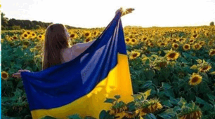 Степінь з раціональним показником. Ірраціональні рівняння