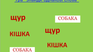 Гра ‘’Знайди однакові слова’’