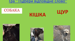Онлайн-гра ’’Підбери відповідне слово’’