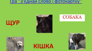Онлайн-гра ‘’ З’єднай  слово і фотокартку’’