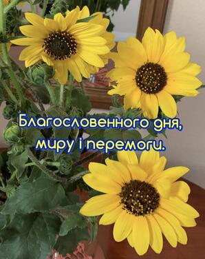 0500p413-31c5-161x203.jpg