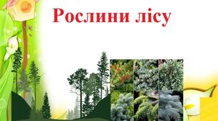 Конспект уроку з природознавства в 7 класі для дітей з інтелектуальними порушеннями на тему "Різноманітність рослин у природі. Рослини лісу"