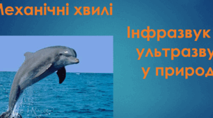 Презентація " Ультразвук. Інфразвук "