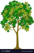 Пін містить це зображення: Tree designs vector image on VectorStock