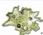 0500pab9-cd04-152x123.png