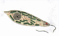 0500pabc-5993-198x122.png