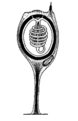 0500pc0x-6d7f-160x248.png