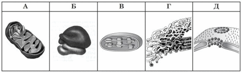 0500pefh-d7d6-776x236.png