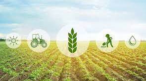 Тhe development of agriculture