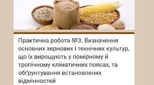 Методичний матеріал до уроку географії для 9 класу на тему «Практична робота. Визначення основних зернових і технічних культур, що їх вирощують у помірному, субтропічному і тропічному кліматичних поясах, та обґрунтування встановлених відмінностей.».