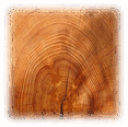 0500pjns-4212-117x116.png
