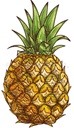 0500pjtl-1b75-74x128.png
