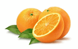 0500pjtt-532d-153x96.png