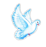 0500pjv0-03e3-155x158.png