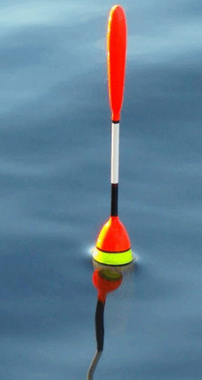 0500pjxq-1b60-289x542.png