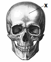 0500pk9d-089c-180x219.png