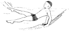 0500plhu-25ac-240x110.png