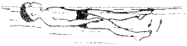 0500plkc-0ce9-267x66.png