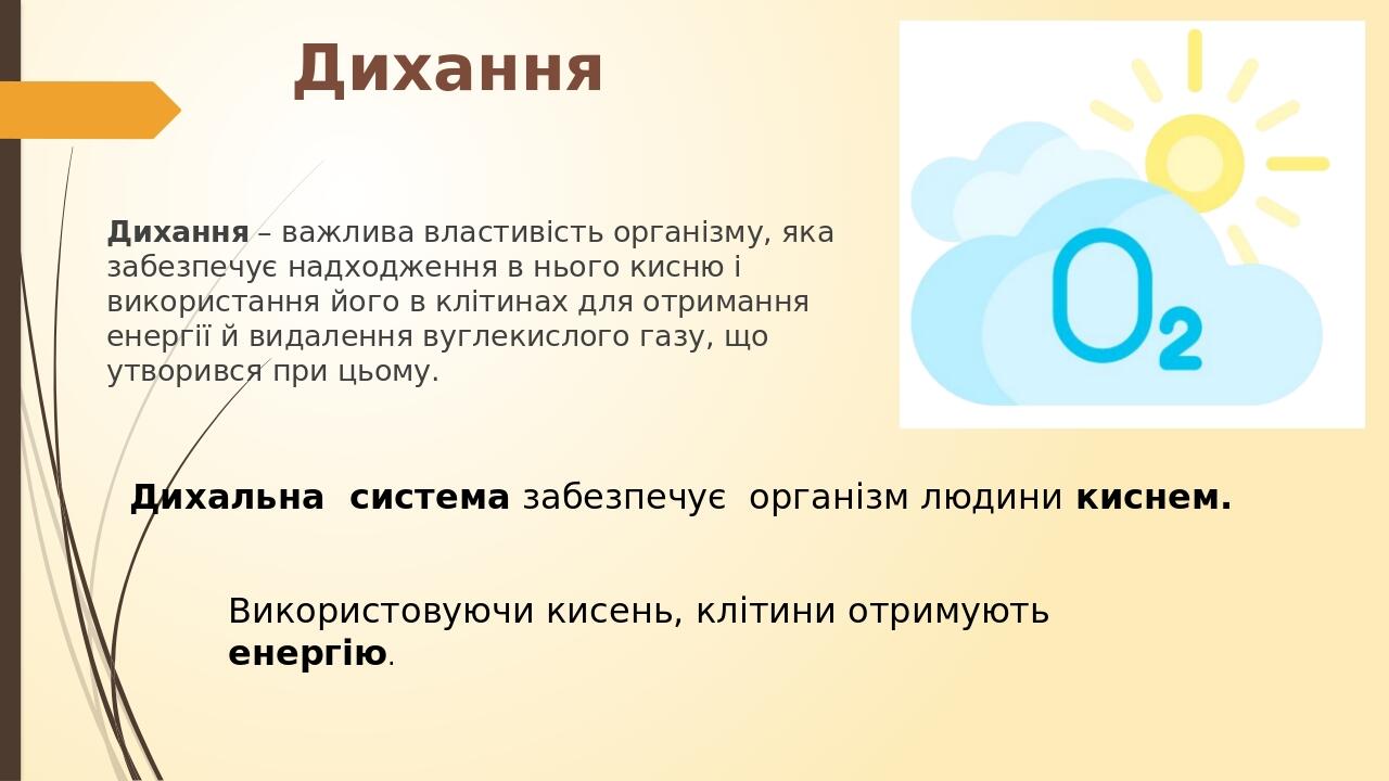 Дихання Дихання – важлива властивість організму, яка забезпечує надходження в нього кисню і використання його в клітинах для отримання енергії й ви...