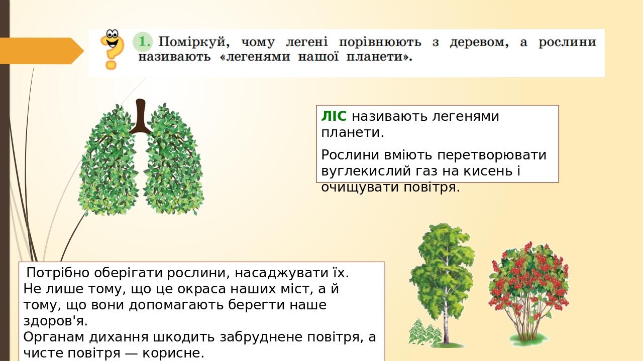ЛІС називають легенями планети. Рослини вміють перетворювати вуглекислий газ на кисень і очищувати повітря. Потрібно оберігати рослини, насаджувати...