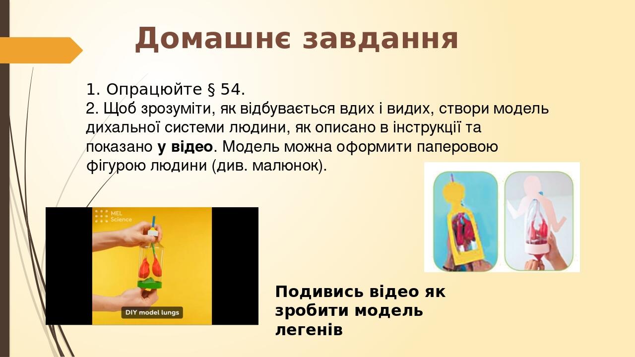 Домашнє завдання 1. Опрацюйте § 54. 2. Щоб зрозуміти, як відбувається вдих і видих, створи модель дихальної системи людини, як описано в інструкції...
