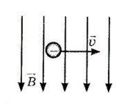 0500po0p-144e-175x150.png