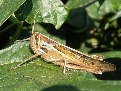 0500poeh-8904-405x304.jpg