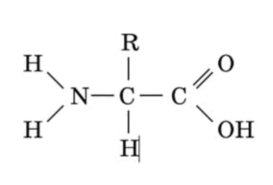 0500pol3-7ae7-273x185.png