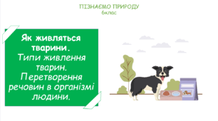 Презентація на тему "Як живляться тварини. Типи живлення тварин. Перетворення речовин в організмі людини."