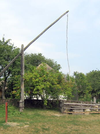 0500ppng-66c1-347x463.jpg