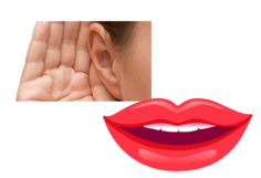 0500pqkj-8e85-236x161.png