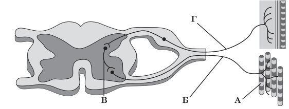 0500pr3t-c75f-562x213.jpg